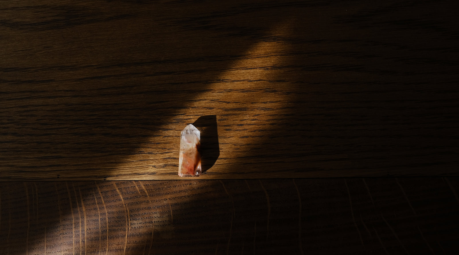 どんな表情をみせてくれるのか