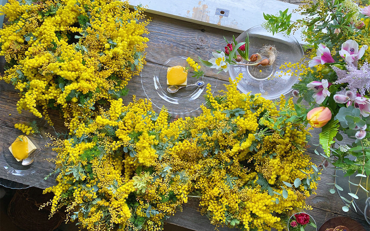 身近にある植物に、興味を持つきっかけをつくれたら／NEROLIDOL