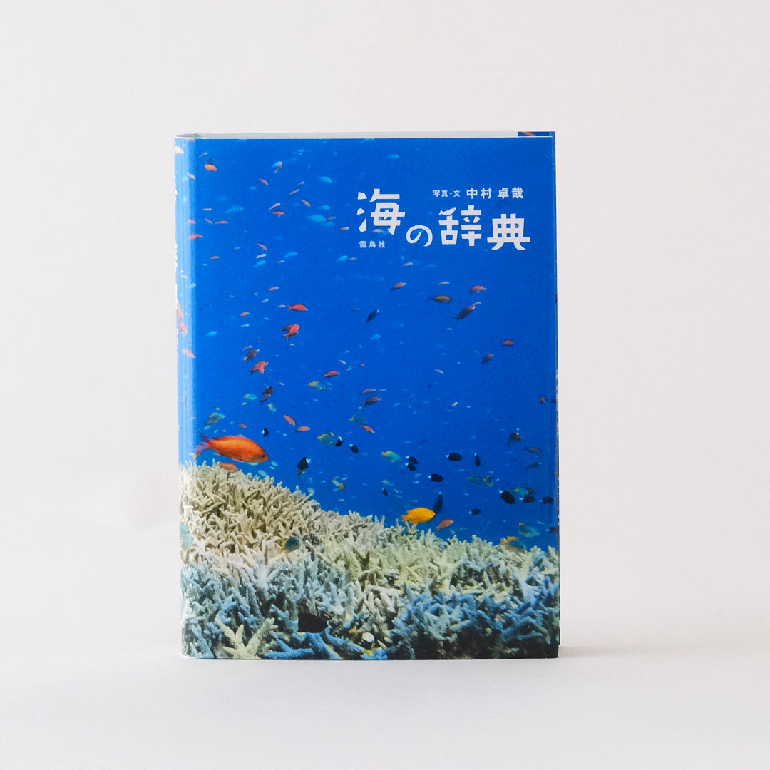 「海の辞典」